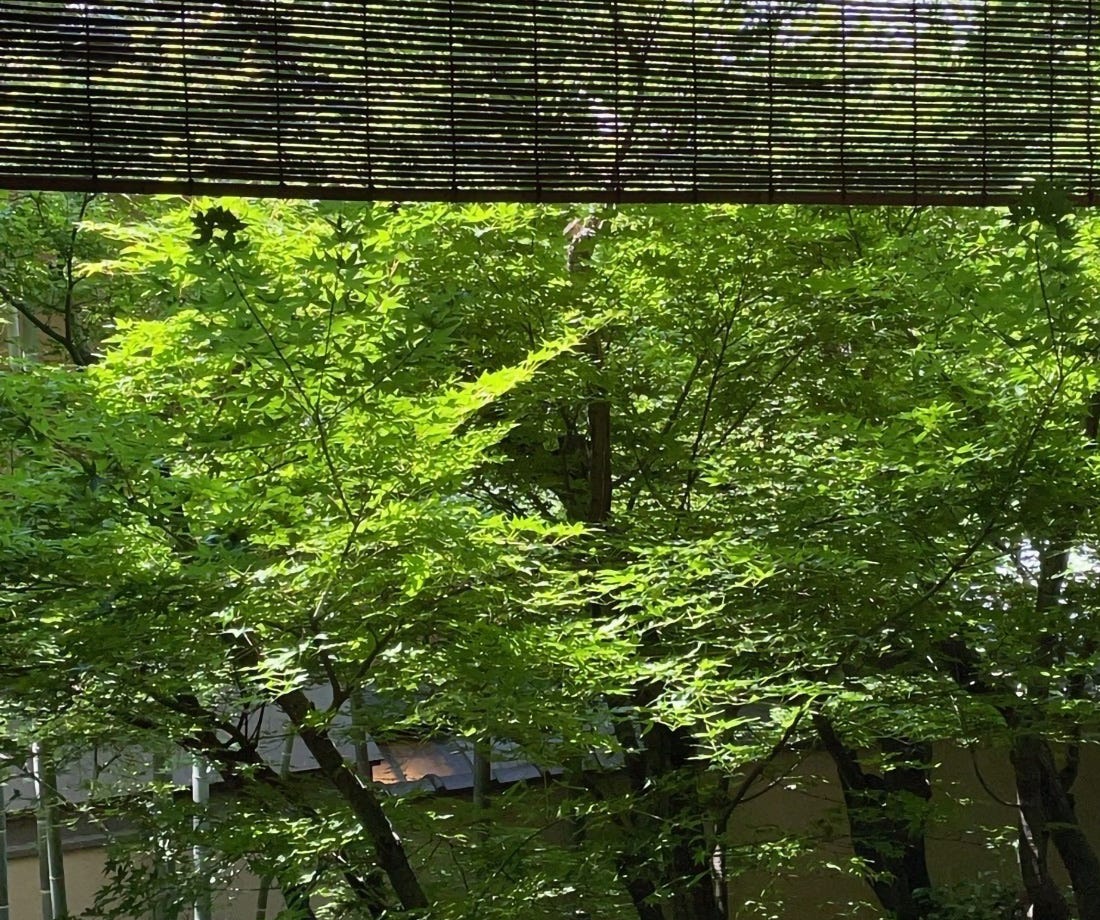 Vol.4 庭の朝露